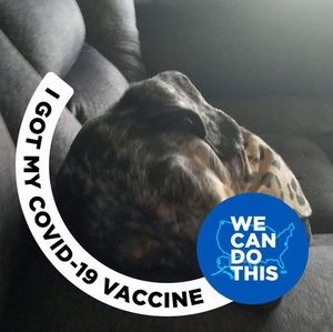 Meet your Posher, Jed